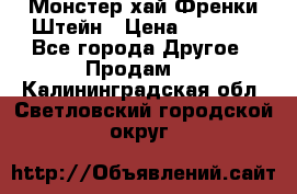 Monster high/Монстер хай Френки Штейн › Цена ­ 1 000 - Все города Другое » Продам   . Калининградская обл.,Светловский городской округ 